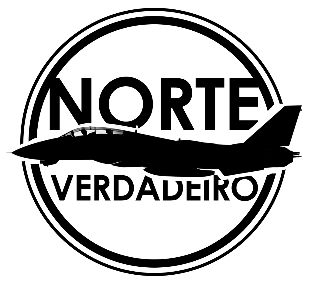 nv logo 2024 preto